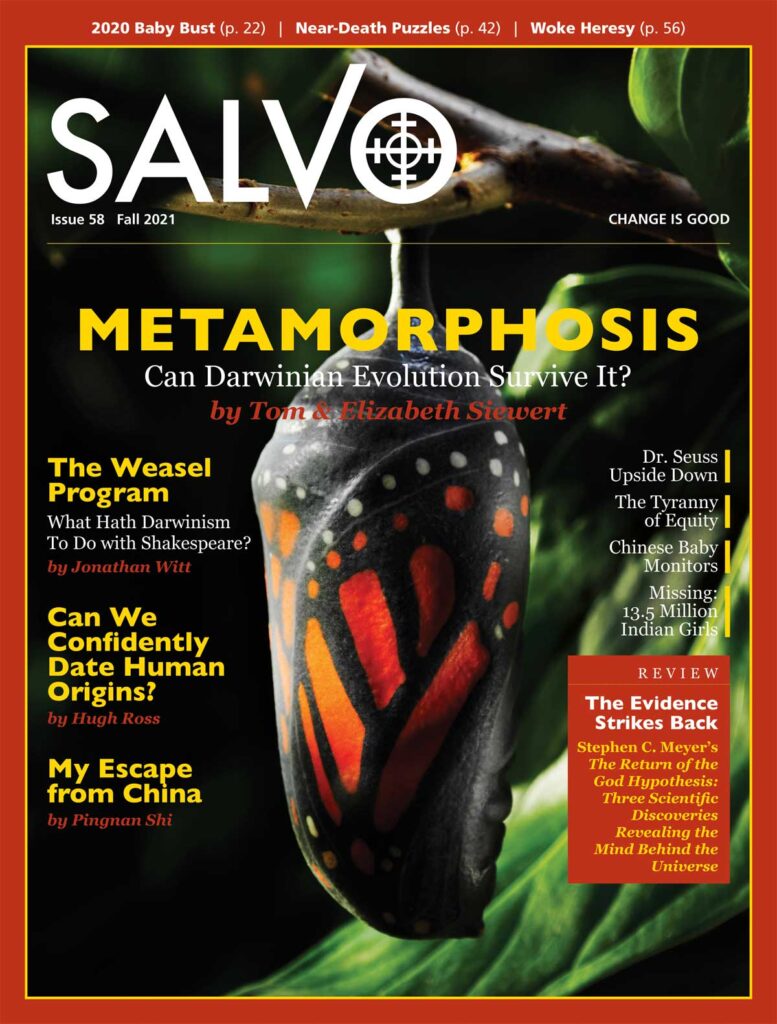 Salvo Magazine